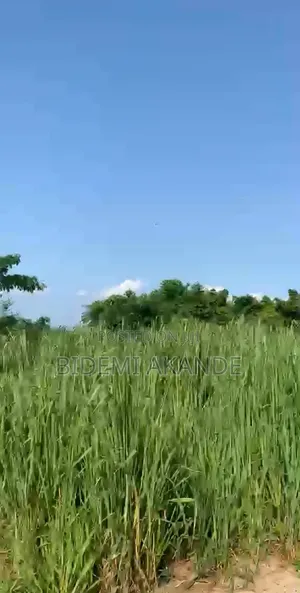 Full Plot for Sale in Asese