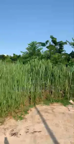 Full Plot for Sale in Asese