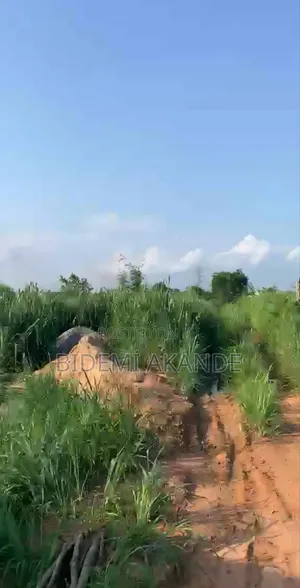 Full Plot for Sale in Asese