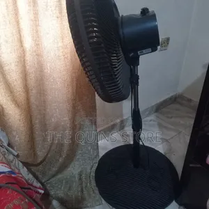 Standing Fan