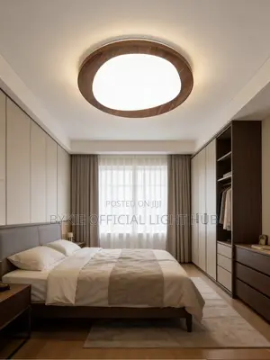 Latest Ceiling Flush