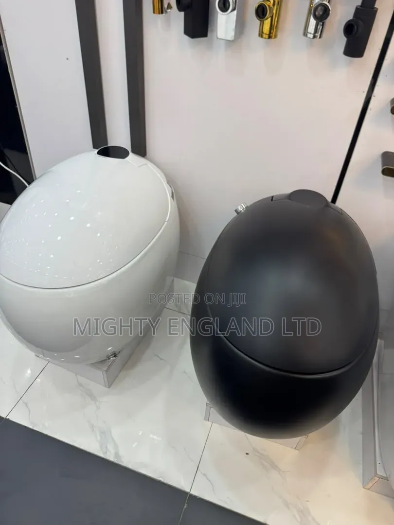 Egg-Shaped Smart Toilets