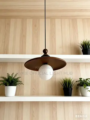 Single Pendant Dropping Light