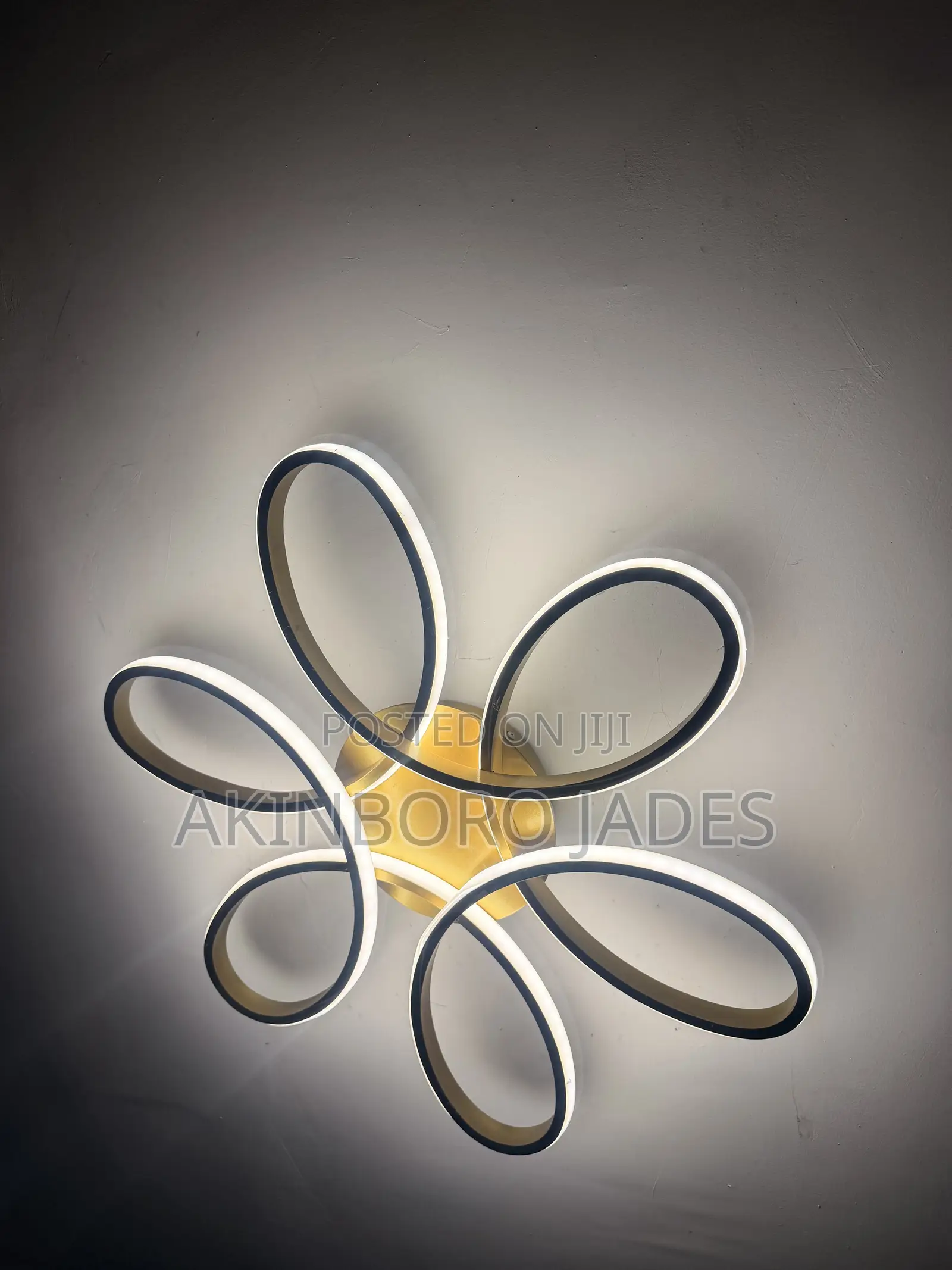 Lights Chandelier