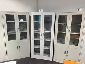 Full Height Cabinet Double Door Metal Glass