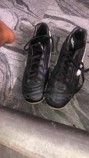 Trainer Shoes
