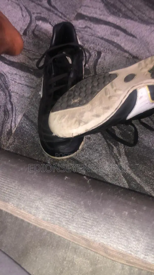 Trainer Shoes