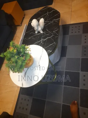 Professional Carpenter Works