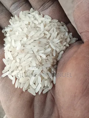 Rice Business