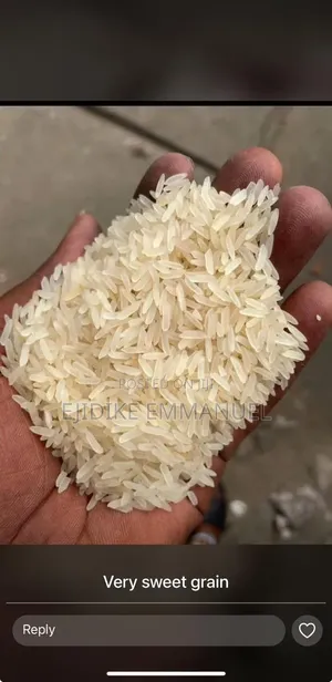 Rice Business