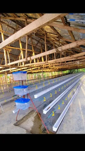 Flourish Poultry Equipment