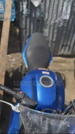 Kawasaki Ninja 400 2010 Blue