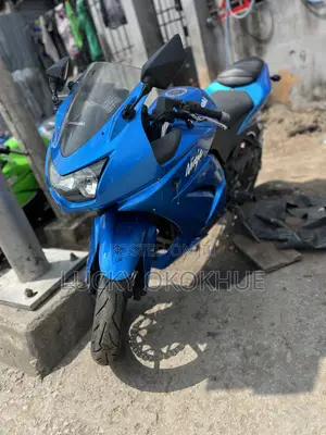 Kawasaki Ninja 300 2010 Blue