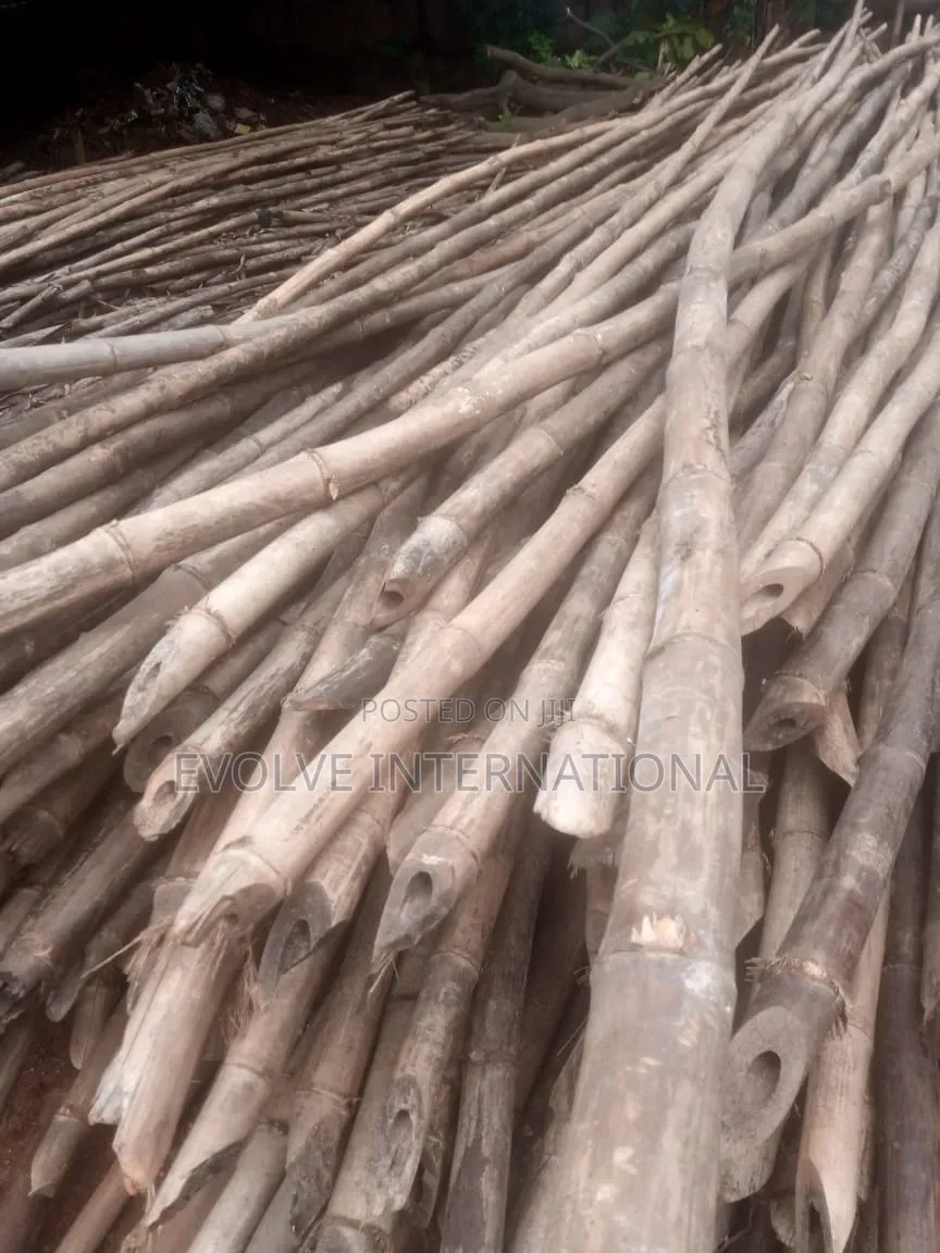 Br Bamboo Thick Long