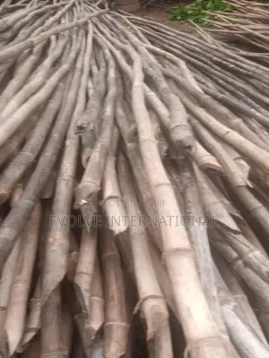 Goal Thick Bamboo