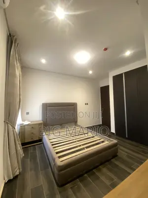 Furnished 3bdrm Apartment in Asokoro for rent