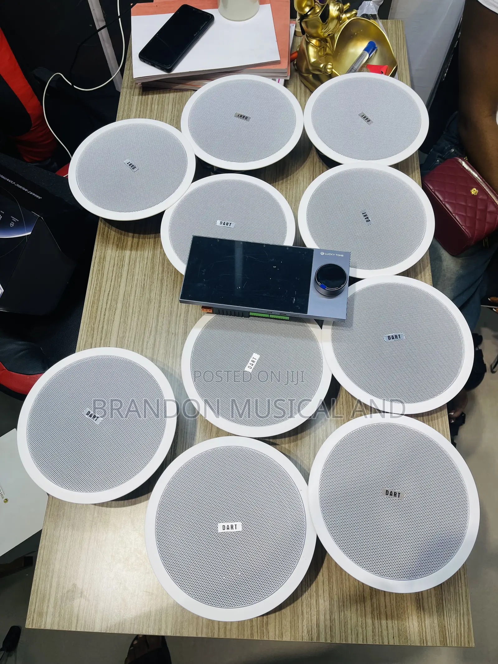 40 Watts Ceiling Speaker/ Alexa Smart Home Bundle