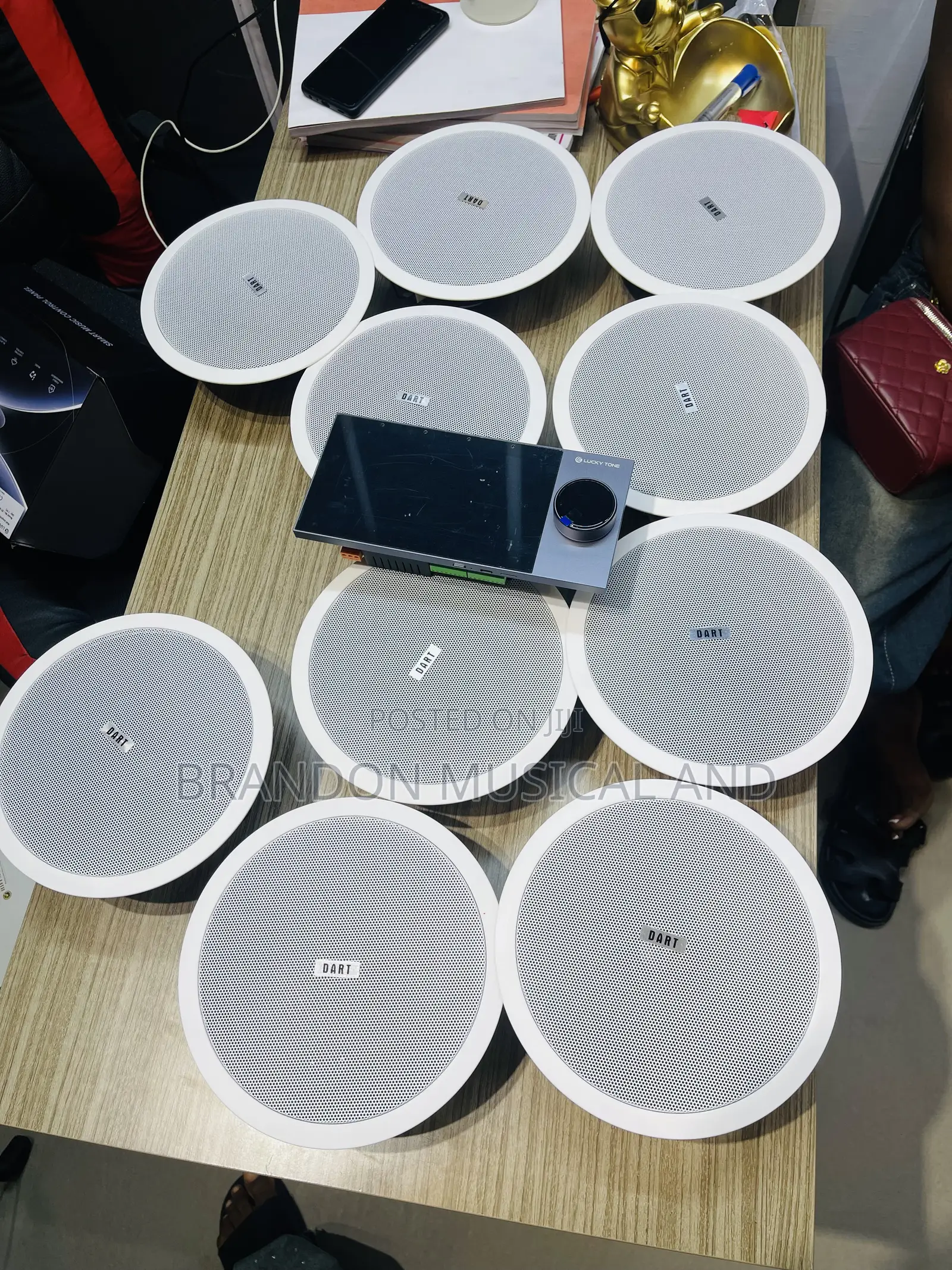 40 Watts Ceiling Speaker/ Alexa Smart Home Bundle