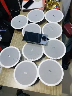 40 Watts Ceiling Speaker/ Alexa Smart Home Bundle