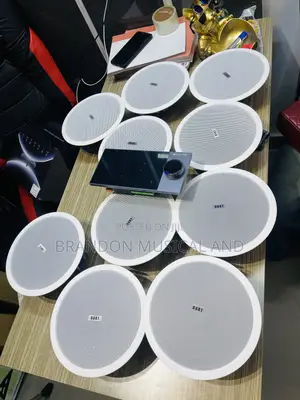 40 Watts Ceiling Speaker/ Alexa Smart Home Bundle