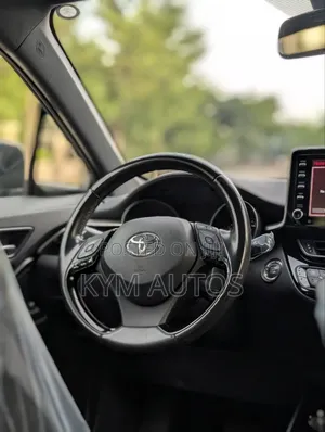 Toyota C-HR 2019 Gray