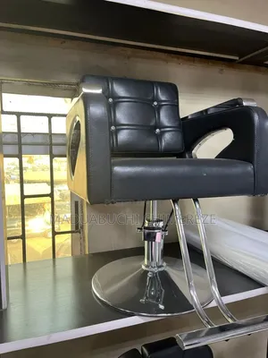 Professional Hydraulic Salon Styling Chair
