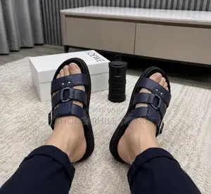 Premium Loewe Palm Slippers | Luxury Comfort Timeless Style