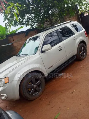 Ford Escape 2010 White