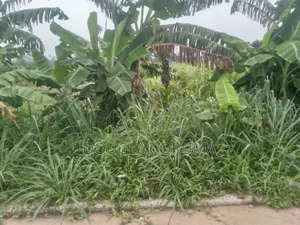 Plot of Land