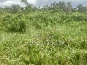 Plot of Land