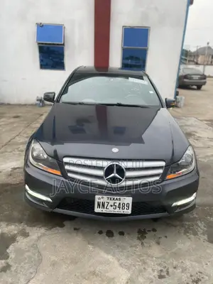 Mercedes-Benz C250 2013 Gray