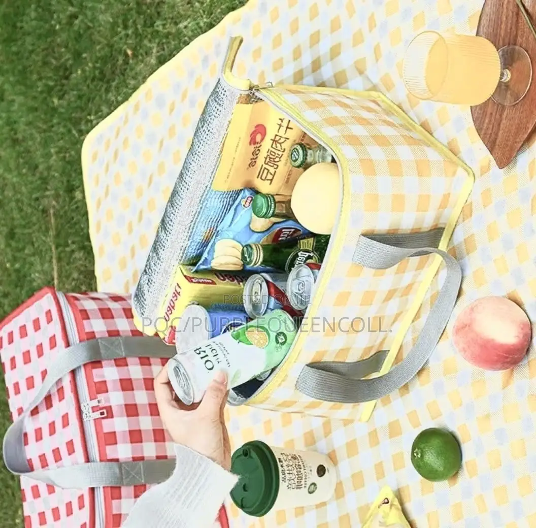 Big Size Lunch Bag