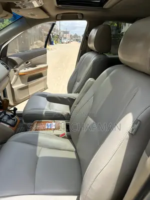 Lexus RX 350 2007 Gray