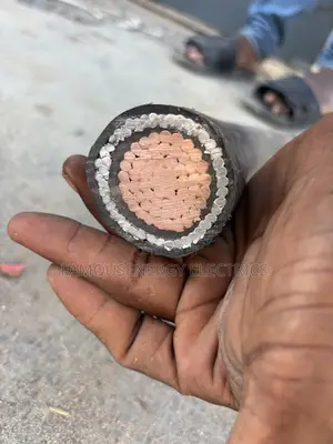 500mmx1core Copper Armored Cable Full Gauge