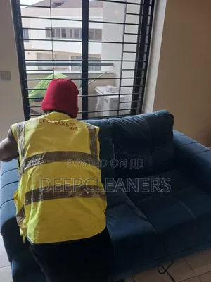Sofa Cleaning