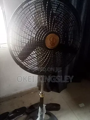 3-Month Old Beautiful Standing Fan