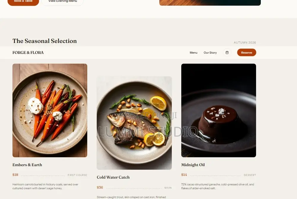 Professional Website Design for Pages, Business Sites Online Stores