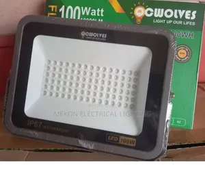 100watt Flood Light