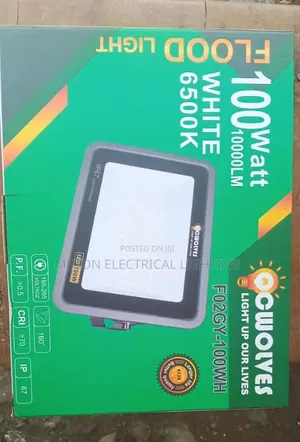 100watt Flood Light