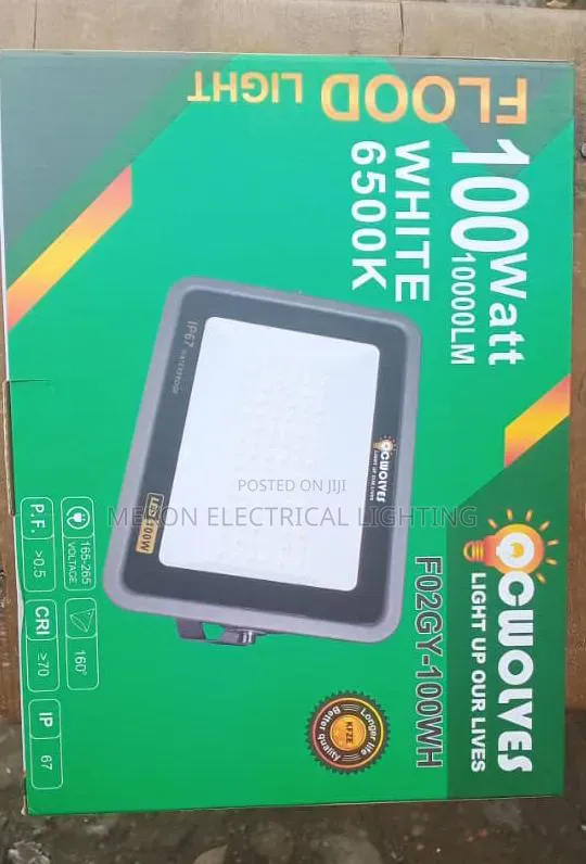 100watt Flood Light