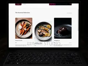 Professional Website Design for Pages, Business Sites Online Stores