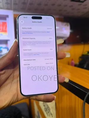 Apple iPhone 15 Pro Max 256 GB