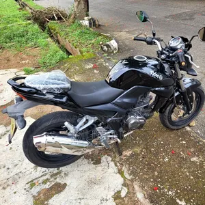 SYM Wolf T1 2024 Black