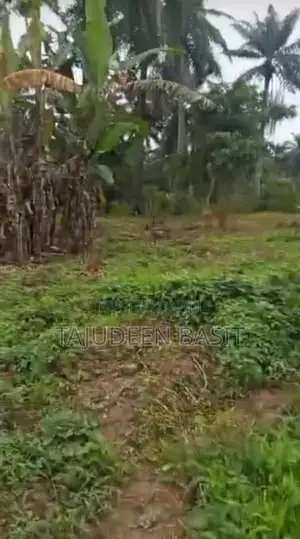 4 Plots of Land for Sale at Oni Oba – Dry Land With Good Road Access