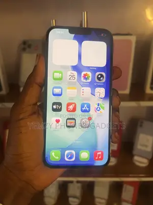 Apple iPhone 13 Pro Max 256 GB Gray