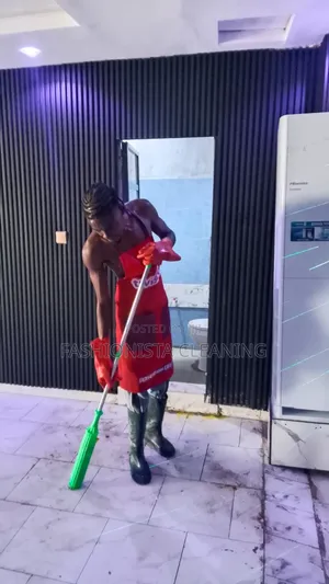 Professional Cleaning Service