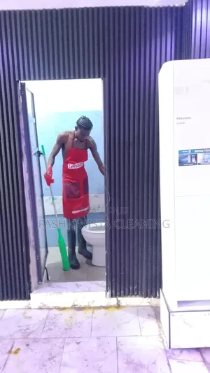 Fashionista Cleaning Concept