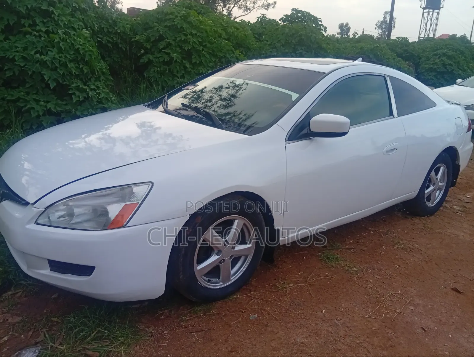 Honda Accord Automatic 2005 White