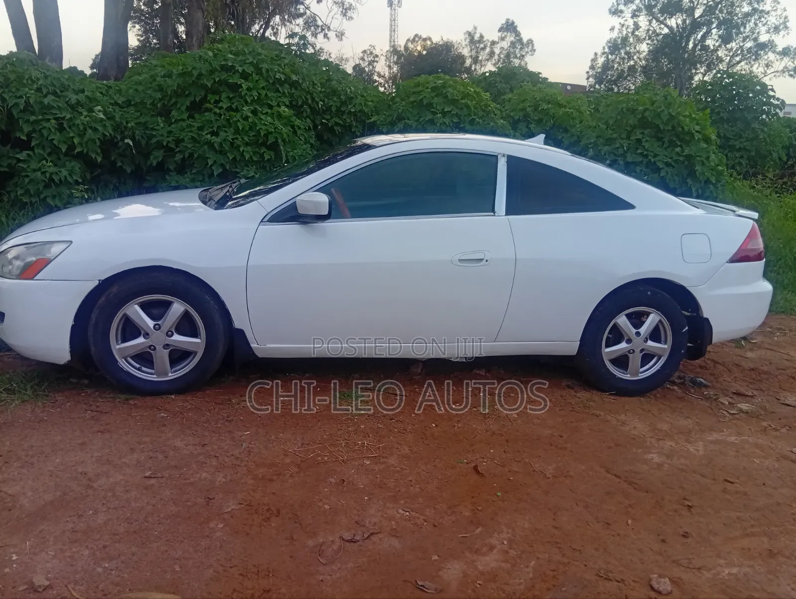 Honda Accord Automatic 2005 White