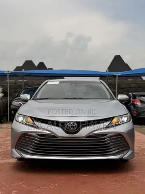 Toyota Camry LE (2.5L 4cyl 8A) 2019 Silver